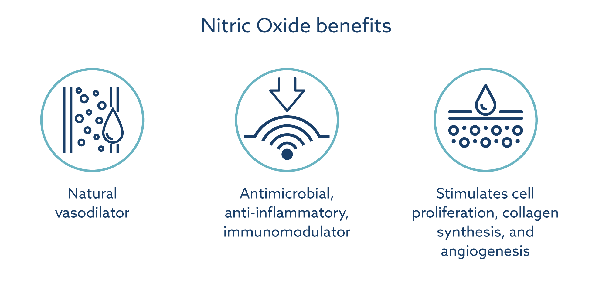 Nitric oxide across vascular, antimicrobial, inflammatory, and tissue-repair pathways